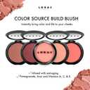 LORAC Color Source Buildable Blush, Technicolor Coral | Anti-Aging Makeup | Cruelty Free, Gluten Free, Vegan