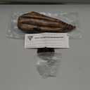 Speed Ball Boxing Bag Leather MMA Muay Thai Training Punching Dodge Striking Kit with Free Hanging Swivel Workout Speedball Kicking Platform Equipment (Black)