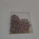 36pcs Christmas Rose Gold Snowflake Ornaments Plastic Glitter Snow Flakes Ornaments for Winter Christmas Tree Decorations Size Varies Craft Snowflakes