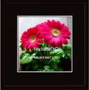 16x16 Picture Frame Black Solid Wood for Black Mat 12x12 Wall Mounting Square Poster Frames