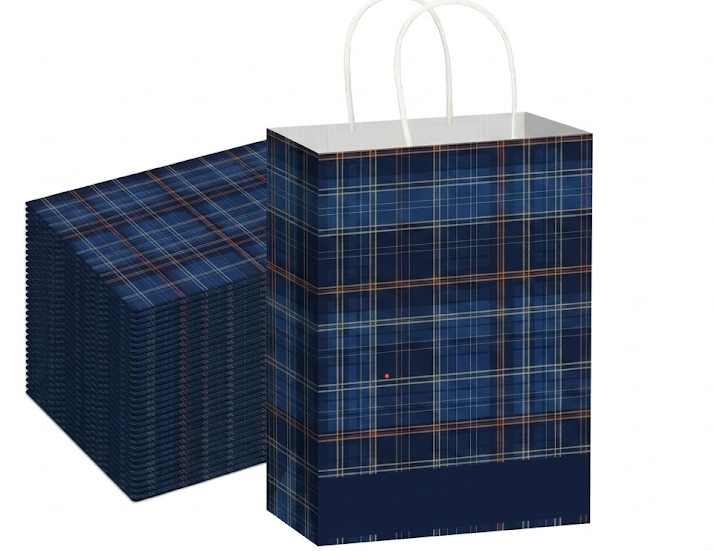 Kolldenn 24 Pcs Blue and Green Plaid Gift Bags Bulk with Handles Tartan Plaids Decorations Baby Shower Paper Goodie Bags for Bear Themed Baby Shower Birthday Party Wedding Fiesta Decorations