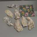 15Pcs Oyster Shells for Crafts, 4-5 Inch Natural Oyster Shells Bulk, Large Sea Shell for Crafting and DIY Painting, Beach Themes and Wedding Decor, Home Vase Fillers, and Xmas Ornaments