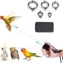 Retractable Bird Leash, with 5 Different Size Foot Ring and Feeder Box, Anti-Bite Parrot Harness Bird Flight Training Rope for Budgies, Cockatiels, Psittacula Longicauda, Mini Macaws (19.69Ft)
