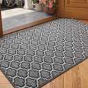 Color&Geometry Door Mat Indoor Entrance 36"x60", Front Door Mat Indoor Rugs for Entryway Non Slip Washable Low-Profile Entryway Rugs Entry Mat Rug Doormat, Grey(Rolled-up NO Creases)