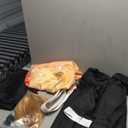 Anime Cosplay Costume with Wig for Adults, Anime Cosplay Uniform Kimono Outfit for Men and Women Halloween (3X-Large, Zenits)