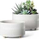 LE TAUCI Succulent Pots, 6.5+8 Inch Ceramic Indoor Plant Pot with Drainage Hole, Shallow Round Succulent Planters, Set of 2, Matte White