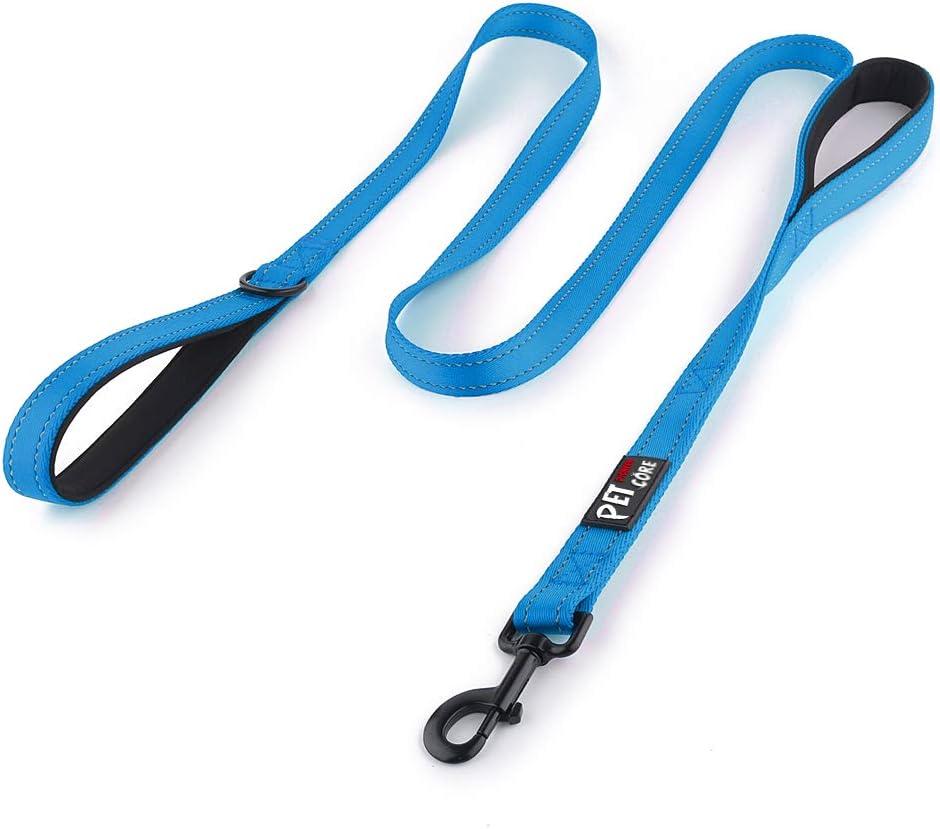 Plutus Pet Dog Leash 6ft Long,Traffic Padded Two Handle,Heavy Duty,Reflective Double Handles Lead for Control Safety Training,Leashes for Large Dogs or Medium Dogs,Dual Handles Leads(Light Blue)