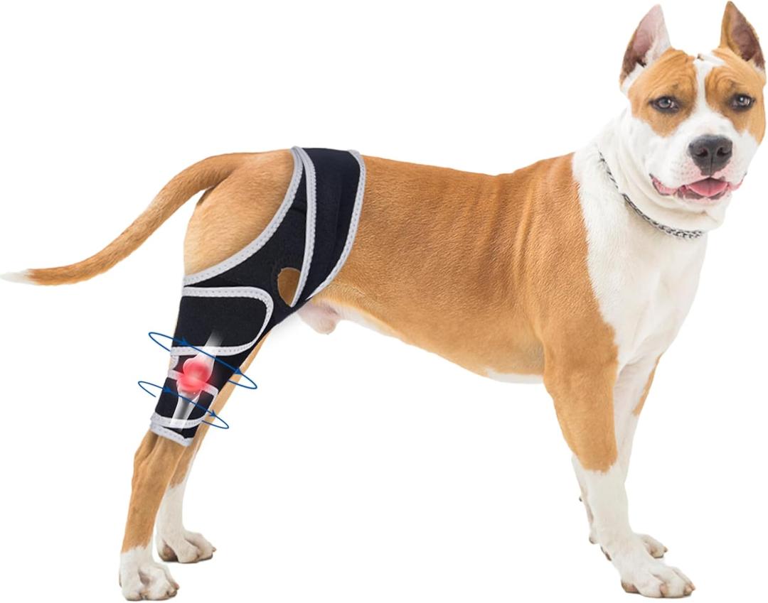 Dog Knee Brace for Torn Acl Hind Leg - Relieves Ligament Injury and Joint Pain, Adjustable Leg Support Bracket for Warmth and Support, Universal Dog Knee Brace for Four Legs, L.