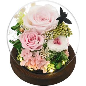 Roses Gifts for Her, Rose in Glass Dome with LED Light - Gifts for Women Mom Grandma Her Girlfriend Wife