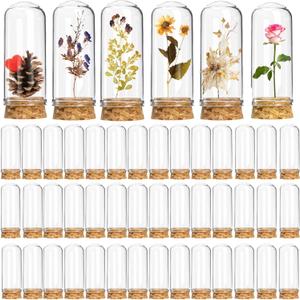 50 Pack 40 ml Glass Cloche Dome, 3 Inch Small Glass Bottles with Cork Stoppers, Decoration Message Bottle Vial Cork for Candy, DIY Art Crafts, Wedding Party Favors