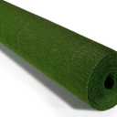 Cartotecnica Rossi 180g 19.6 Inch 8.2ft Long Wide Italian Crepe Paper for Wedding Ceremony Various Large Festivals Decoration (Leaf Green(591))