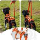 OneTigris Dog Lift Harness for Small Dogs XS, Dog Sling Carrier for Small Dogs, Full Body Lift Vest with Reflective Straps, Support Harness for Back Legs (Orange, XX-Small)