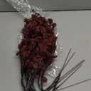 JAKY-Global Babys Breath Silk Artificial Flowers Burgundy 6 Bundle Fall Stems Fake Plants Decor Wedding Party Decoration Bouquets Real Touch DIY Home Garden, Farmhouse, Living Room (Autumn Red-6pcs)