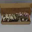 N&T NIETING 30Pcs Babys Breath Artificial Flowers, Fall Pink Baby Breath Flowers Artificial Bulk, Babys Breath Real Touch Flowers Fake Gypsophila for Wedding Bouquet Party Vase Indoor Decoration