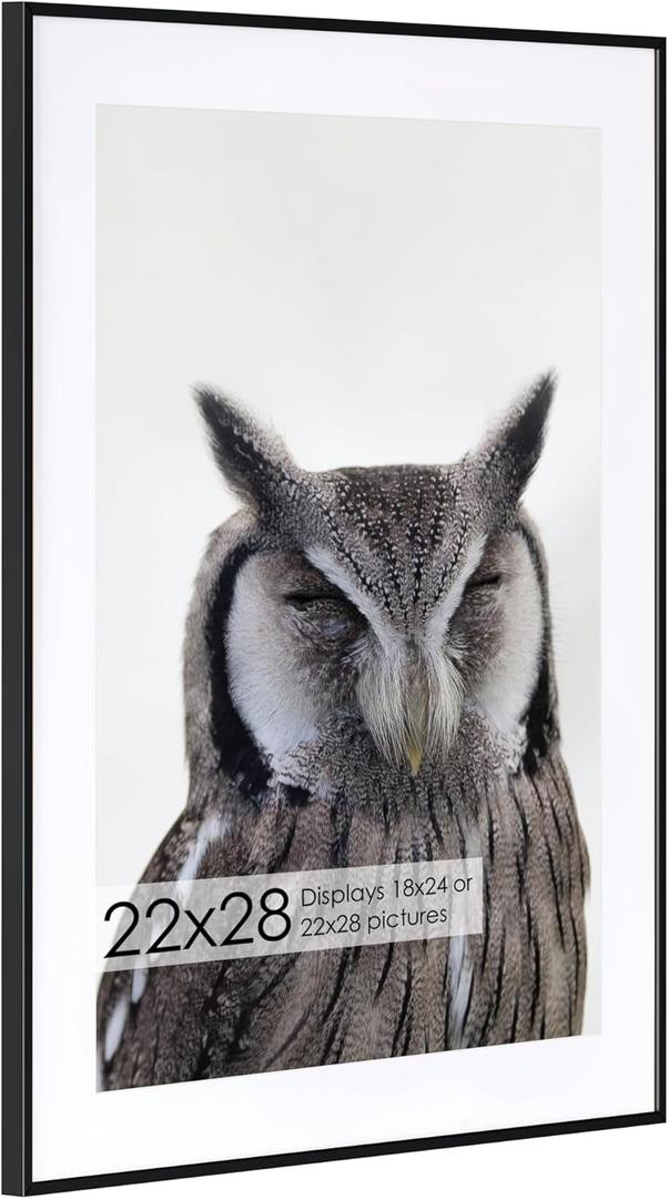22x28 Metal Picture Frame with 18x24 Mat, Brushed Aluminum Finish, Tempered Glass Front, and Attached Hanging Hardware - Wall Display Frames for Vertical or Horizontal Orientation - Black