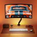 ErGear Single Monitor Arm for 13-36 inch Screens, Adjustable Gas Spring Monitor Mount Holds up to 22 lbs, Computer Monitor Stand with VESA Mount, C-Clamp & Grommet Base, Max VESA 100x100mm