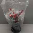 Lighted Christmas Centerpiece Metal Potted with Timer,Christmas Nativity Scene Black Metal Base with Snow Flocked Pine Needles Ornament Red Berries for Table Centerpiece Holiday Xmas Decor (White)