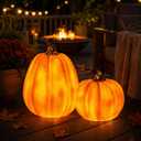 Solar Lighted Pumpkin Decor Outdoor Fall Porch Decorations for Halloween Thanksgiving Outdoor Pumpkin Lights LED Glowing Resin Pumpkins Set of 2 for Porch Patio Yard Garden Tabletop