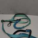 Roses&Poetry Hands Free Dog Leash for Medium Large Dogs Heavy Duty, No Pull Bungee Dog Running Waist Leash for Walking Training with Car Seatbelt 4-6FT (GreenBlue)