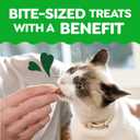 Greenies Feline Smartbites, Cat Treats Healthy Recipe, Indoor Cat Treats, Tuna Flavor, 16 oz. Tub (EXP 07/01/26)