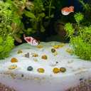 Sewroro 3Pcs Ceramic Ball Fish Tank Float Artificial Aquarium Fishes Aquarium Decor Floating Ornament Ocean Sea Animals for Aquarium Fish Figurines Decors 10x4cm