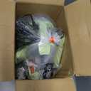 BISSELL Little Green Mini Portable Carpet and Upholstery Deep Cleaner, Car/Auto Detailer, with HydroRinse Self-Cleaning Tool and 4" Tough Stain Tool, Tea Green, 4075