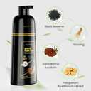 KAISASA Black Hair Dye Shampoo 3 in 1, Hair Color Shampoo for Women and Men, Hair Dye to Cover Gray Hair, Herbal Ingredient Shampoos for Grey Hair Coverage 500ml (Black)