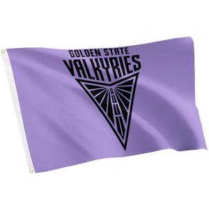 Desert Cactus Golden State Valkyries Flag Team WNBA 100% Polyester Indoor Outdoor 3x5 feet Flag (Design B)