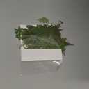 AHTONG 48 PCS Pressed Ferns Large Dried Pressed Leaves, Dried Flowers for Crafts, Resin Molds, Candle Making, Bookmarks (Fern)