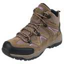 Northside Women's Snohomish-W Hiking Boot, Tan/Periwinkle, 10