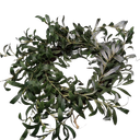 Olive Wreath 13 In