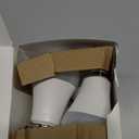 evelor 6-Packs A19 LED Light Bulbs,100 Watt Equivalent Daylight 5000K Bright Bulbs Efficient 13W,1500 Lumens E26 Base, Non-Dimmable, 15000-Hour Lifespan for Bedroom, Living Room, Office