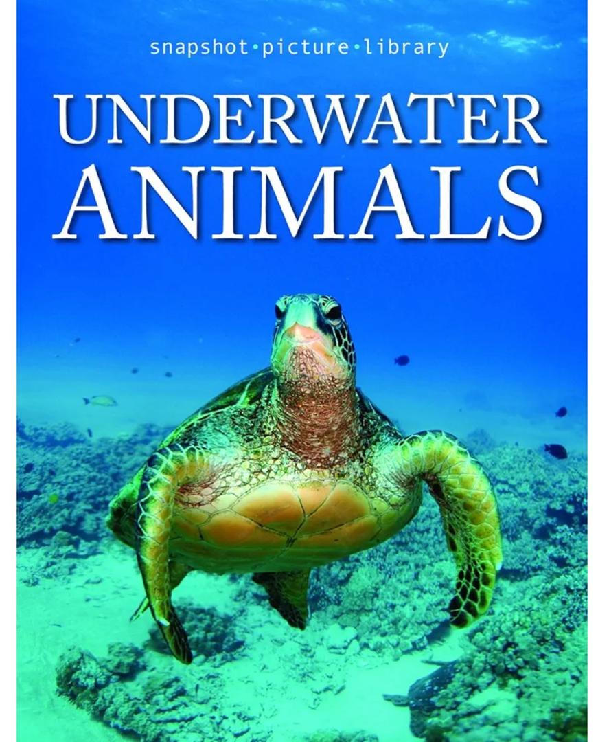 Snapshot Picture Library Underwater Animals