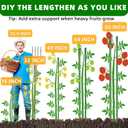 Fabulas Garden Stakes 16 Inch 30 Pack, Diy 4ft 5ft 6ft 7ft 8ft Tomato Stakes Plastic Coated Metal Plant Sticks Stakes Supports with 20 Connectors 15 Rotatable Clips for Indoor Outdoor Plants Vegetable