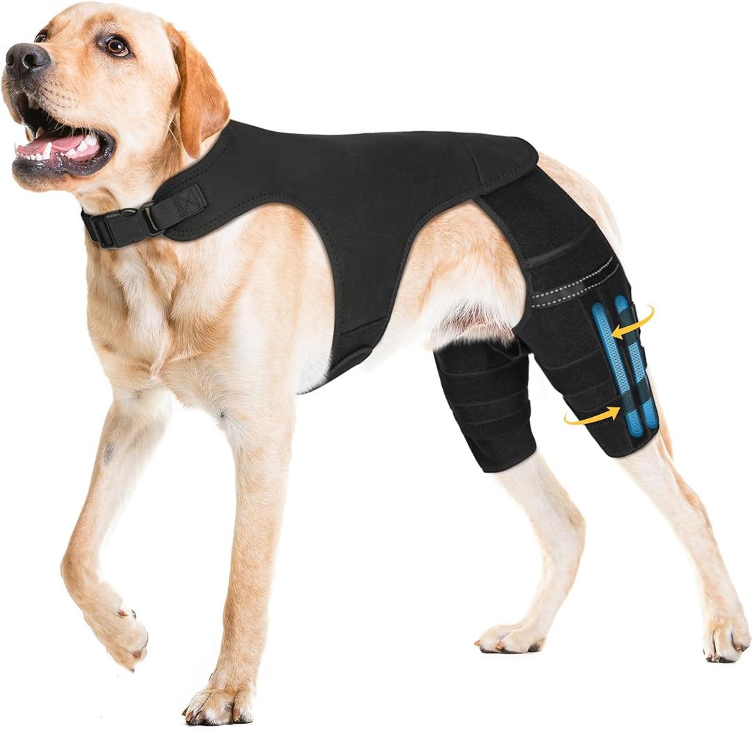 Dog Knee Brace for Torn Acl Hind Leg, Adjustable for Back Leg with 4 Stabilizers, Hip Support to Reduces Pain, & Luxating Patella for Small Medium Large Dogs (Solid Black, XL)