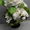 Hollyone White Hydrangea Artificial Flowers in Pots 19.7" Four-Head Faux Silk Hydranges Flower Arrangements for Indoor Home Office Kitchen Table Centerpieces Wedding Decorations