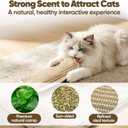 2 Packs Clawvia Cat Toy, Organic Catnip Toys Organic Catnip for Indoor Scratching, Teething&Chewing, Drives Bored Cats Crazy with Fun Interactive