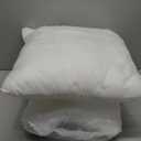 MIULEE Set of 2 Throw Pillow Inserts 20x20 Inches, Nowoven Decorative Pillow Inserts for Living Room