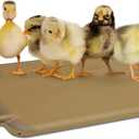 K&H Pet Products Thermo-Peep Chicken Heating Pad for Brooders and Chicken Coops, Warming Heat Plate for Chicks and Ducklings, Safety Listed Poultry Heat Lamp Alternative - Petite 12 X 9in, Tan 25W