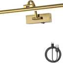 Wireless Picture Lights with Remote and Timer Rechargeable Brass Gallery Lighting Battery Operated Art Lights Over Frame Portrait 5W 24'' Inch Warm White