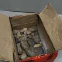 NUPICK 6lb Mexican Beach Pebbles, 2-3" Large River Rocks for Landscaping, Smooth Garden Rocks for Outdoor Paving, Natural Pebbles for Indoor Plants, Decorative Stones for Planters, Fish Tank, Fountain (Mixed)