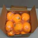 Meooeck 12 Pcs Thanksgiving Pumpkin Stress Ball Bulk 3.4 Inch Thanksgiving Party Favors Mini Pumpkin Squeeze Fidget Toys Stress Relief for Adult Kids Harvest Party Basket Stuffers Gift ADHD Anxiety (Orange)