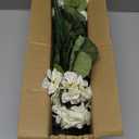 Artificial Geranium Fake Flowers for Outdoors Decoration, 6 Bundles Silk Geraniums White Flower UV Resistant Look Real Faux Plants for Front Door Garden Porch Planter Patio Balcony Yard Indoor Home