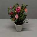 Hollyone Artificial Plants & Flowers in Vase Red Camellia Roses Small Faux Flower Plant Arrangement with Pot Fake Rose Flowers Home Decor Office Bathroom Shelf Desk Table Decoration