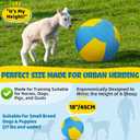 18" Herding Ball for Dogs, Herding Ball for Australian Shepherds, Dog Herding Toy for Medium/Large Breeds Outdoor Play & Training