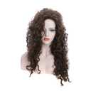 karlery Women's Fluffy Curly Dark Brown wig Halloween Cosplay Wig Anime Costume Party Wig