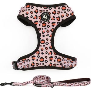 Dog Harness and Leash Set, Adjustable Dog Harness, Dog Leash, No Pull No Choke Puppy Harnesses for Walking Training for Small Medium Pet (XS(Chest 9.9 - 13.5", Neck 7.8 - 10.2"), Pink Leopard)