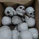 Fun Express White Plastic Realistic Skeleton Skulls 5 Inch for Halloween Party, Bar and Table Decorations, 12 Pack