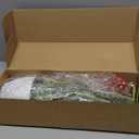 18.5" Artificial Snake Plant Potted,Fake Sansevieria Floor Plant Real Looking with White Planter for Centerpiece Home Decor (Yellow&Green)