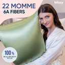 Blissy Silk Pillowcase - 100% Pure Mulberry Silk - 22 Momme 6A High-Grade Fibers - Silk Pillow Cover for Hair & Skin - Regular, Queen & King (Olive, Queen)